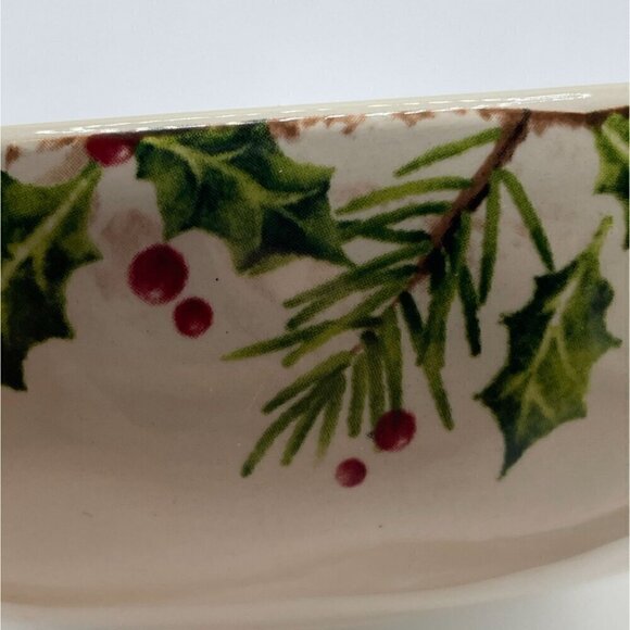 Pier 1 Winter's Wonder Holiday Christmas Ironstone Dinner Cereal Soup Bowl 8" - Picture 5 of 7